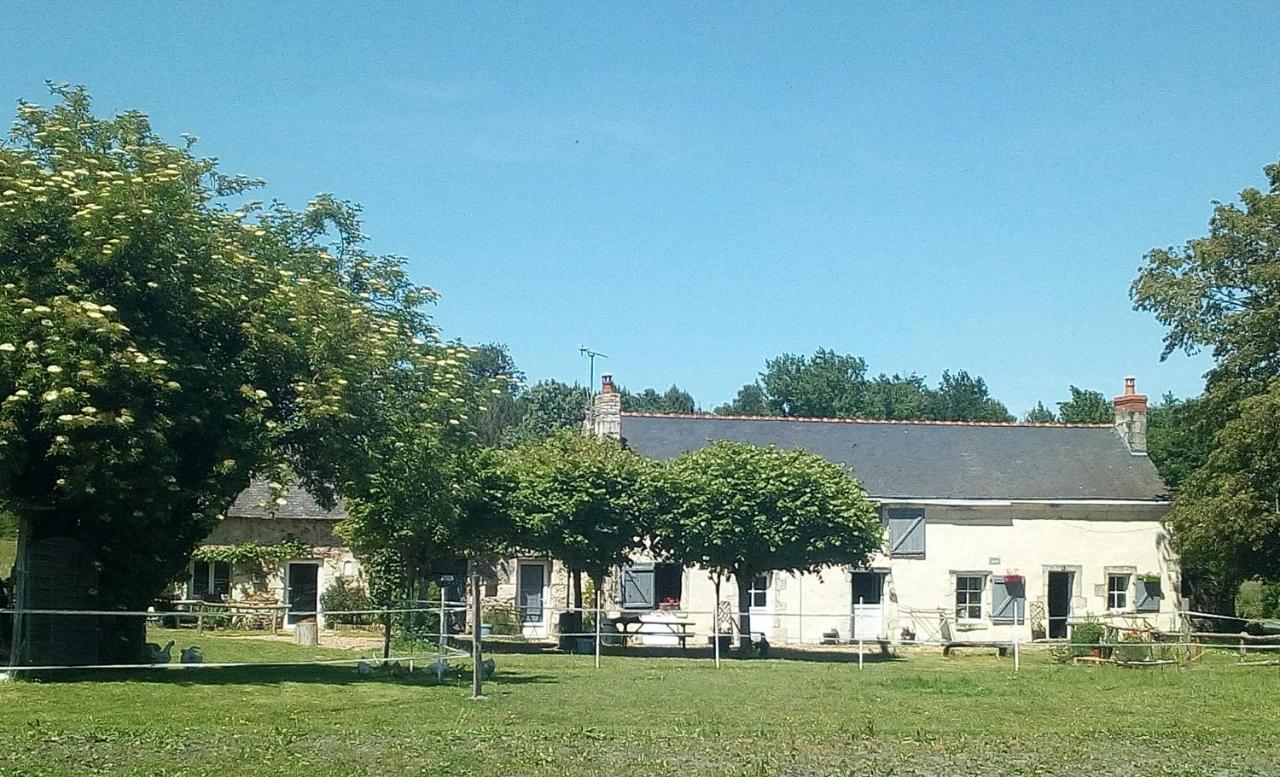 Les Chambres Du Vau Profond Vernoil Bagian luar foto