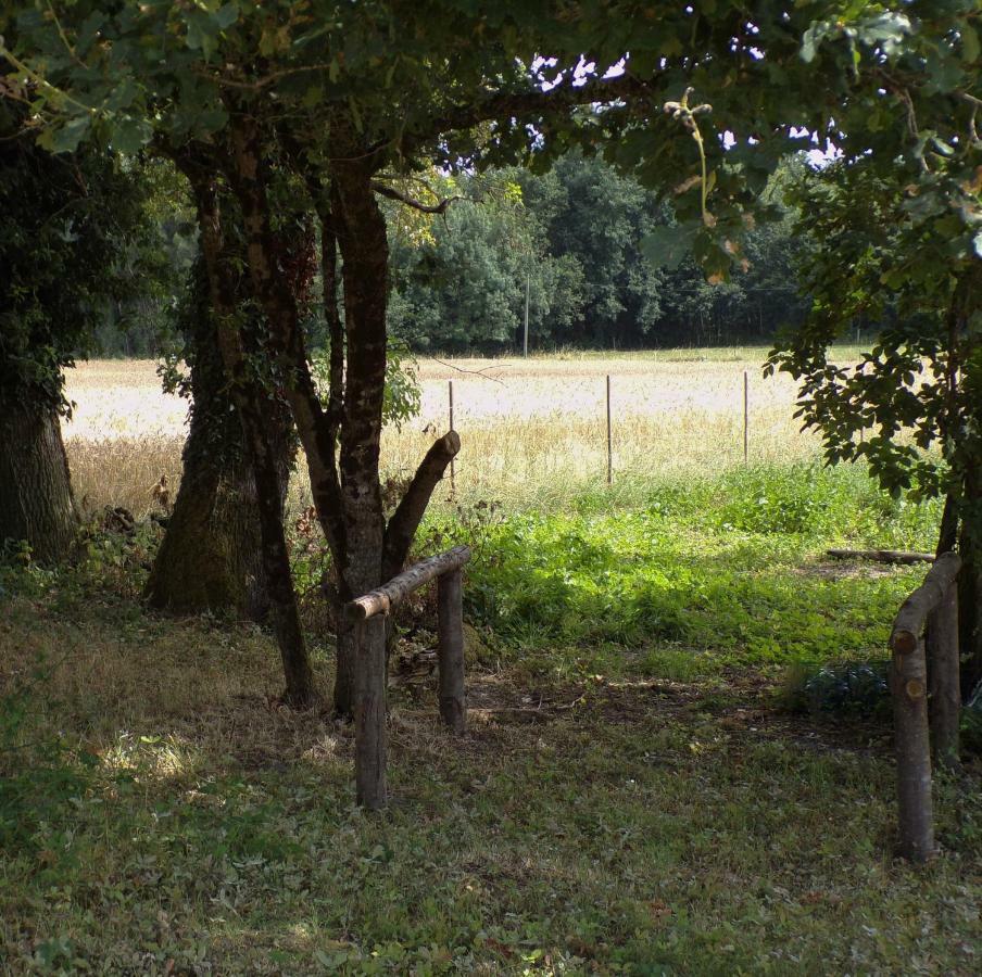 Les Chambres Du Vau Profond Vernoil Bagian luar foto